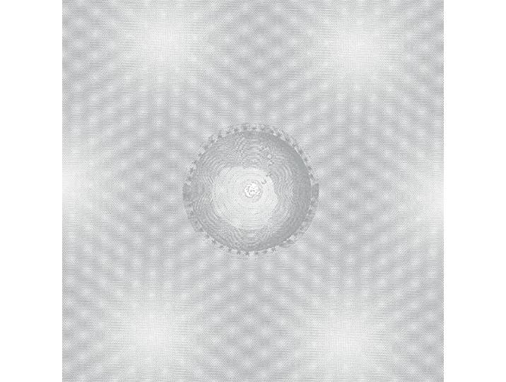 Seven Ways of Disappearing (Silver)