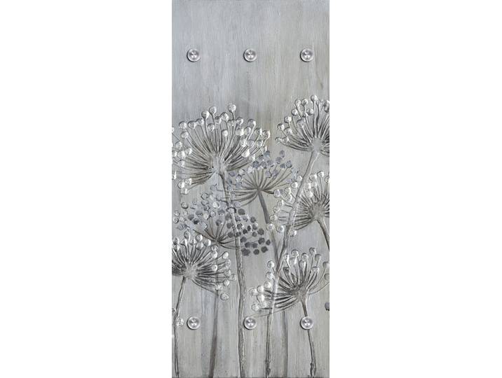 Garderobenpaneel QUEENCE Wandgarderobe mit Motiv Grau Blumenwiese inkl. Edelstahlhaken , grau (silbergrau), B:50cm H:120cm T:2,5cm, Acrylglas, Edelstahl, Garderobenpaneele, Garderobenpaneel, HD Premium Druck auf Acrylglas