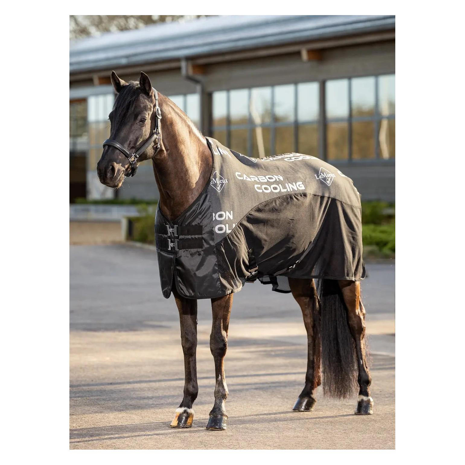 LeMieux Abschwitzdecke (140 cm) (IT01053028)