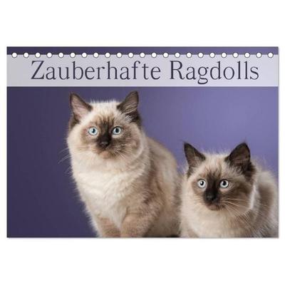 Zauberhafte Ragdolls / Geburtstagskalender (Tischkalender 2026 DIN A5 quer), CALVENDO Monatskalender