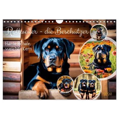 Rottweiler - die Beschützer (Wandkalender 2026 DIN A4 quer), CALVENDO Monatskalender