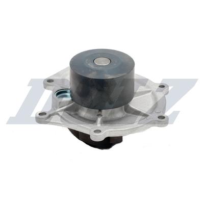 DOLZ Wasserpumpe m304 für ROVER LAND