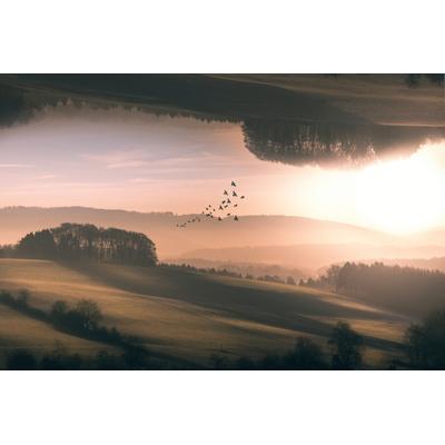 Fototapete PAPERMOON "Photo-Art MARCUS HENNEN, INTERPLANAR", bunt, B:5m L:2,8m, Vlies, Tapeten