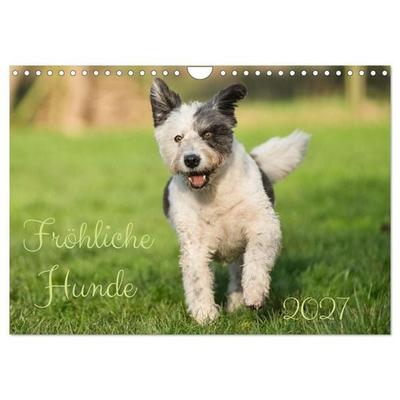 Fröhliche Hunde (Wandkalender 2027 DIN A4 quer), CALVENDO Monatskalender