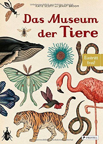 Jenny Broom - Das Museum der Tiere: Eintritt frei! - Preis vom 13.10.2026 19:28:25 h