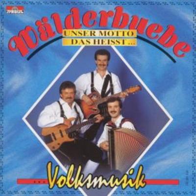 Unser Motto Heisst Volksmusik - Wälderbuebe, CD