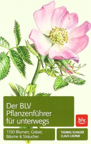 Thomas Schauer - Der BLV Pflanzenführer für unterwegs: 1150 Blumen, Gräser, Bäume und Sträucher - Preis vom 15.10.2026 23:06:25 h