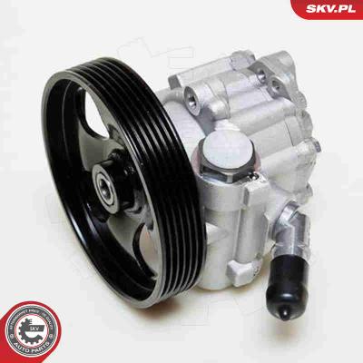 ESEN SKV Hydraulikpumpe, Lenkung 10SKV060 für Citroën Citroën/Peugeot
