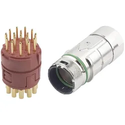 Lapp EPIC Steckverbinder M23 17pol, Elektronikkabel + Stecker, Mehrfarbig