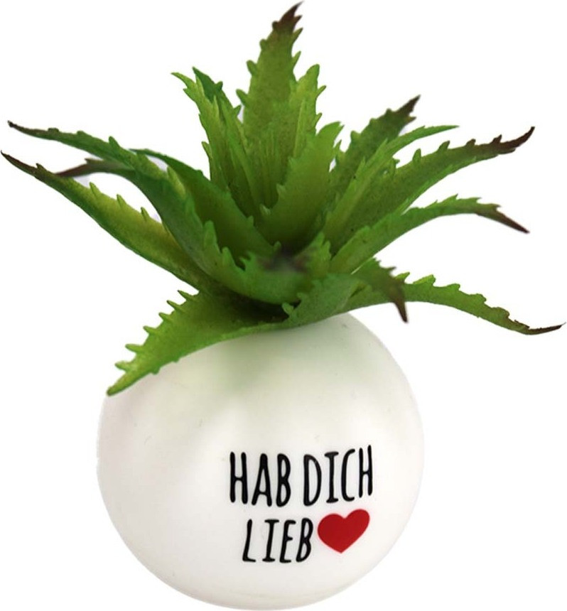 BEMIRO Kunststof Mini Plantje met Motiv Hab Dich lieb - 8 cm