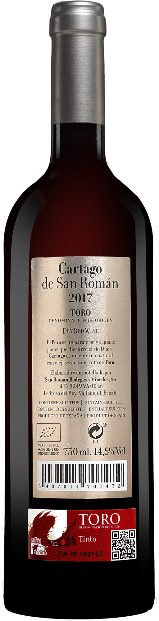 San Román Bodegas y Viñedos Cartago Paraje del Pozo 2017 14.5% Vol. Rotwein Trocken aus Spanien