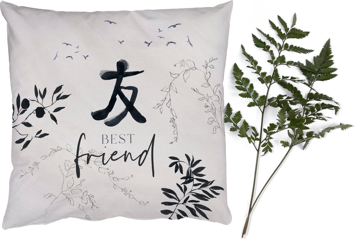 PillowMonkey Sierkussen Vriendschap Quotes - 50 x 50 cm