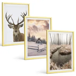 BILDER SET 3er Set - 40x60 cm Goldrahmen - Hirschhütte in Winterlandschaft