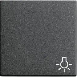Gira Wippe Licht anth 028528