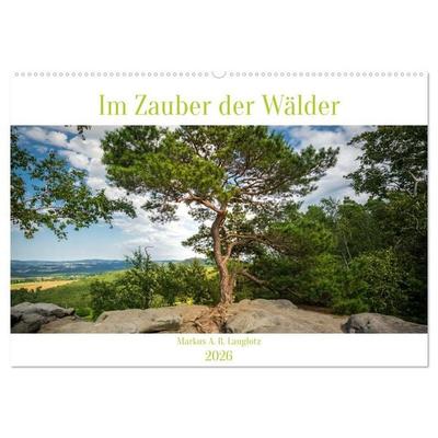 Im Zauber der Wälder (Wandkalender 2026 DIN A2 quer), CALVENDO Monatskalender