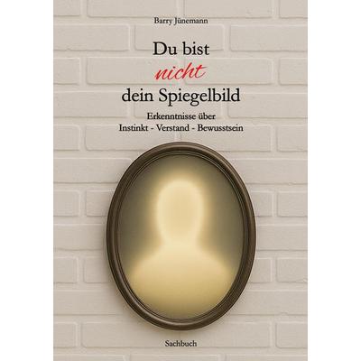 Du bist nicht dein Spiegelbild, Taschenbuch von Barry Jünemann, Tredition, 978-3-384-74954-3