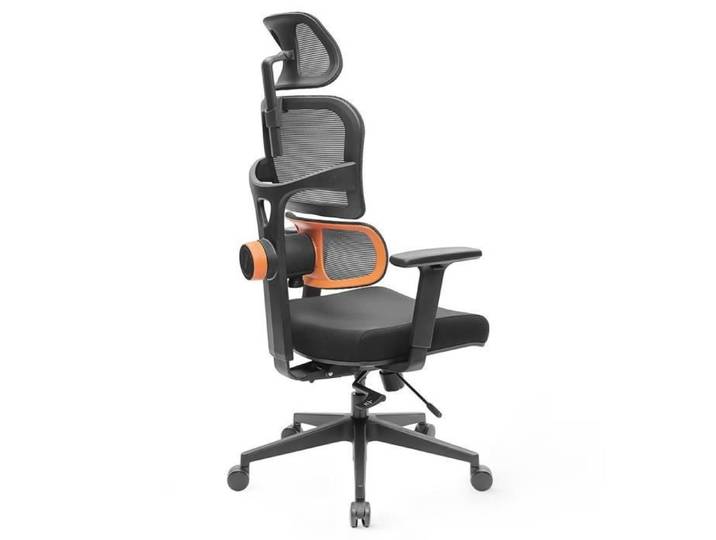 Chaise de Bureau - NEWTRAL - NT001 - Ergonomique - Accoudoir Réglable - Base en Nylon