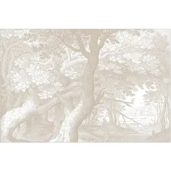FOTOTAPETE Im Wald Kupferstich in Beige 432/290 cm