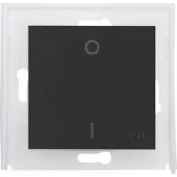 Kopp 493715001 HK07 IP44 - Flächenwippe ohne Linse, Farbe: anthrazit