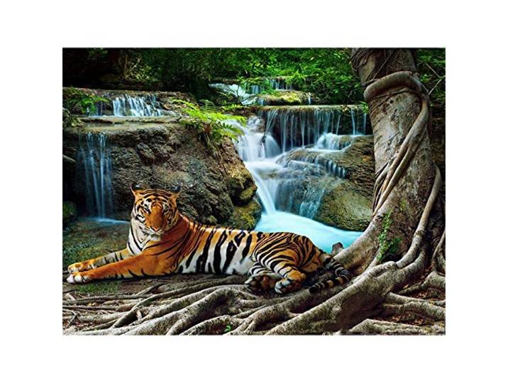 Yingxin34 5000 Teile Puzzle für Erwachsene Tiger, der neben dem Wasserfall liegt Puzzles Brain Challenge Puzzle für Kinder - unmögliches Puzzle