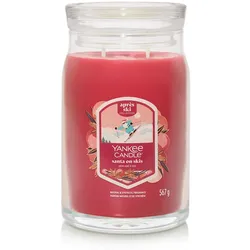 Santa on Skis Signature Large Jar 567g 2-Docht