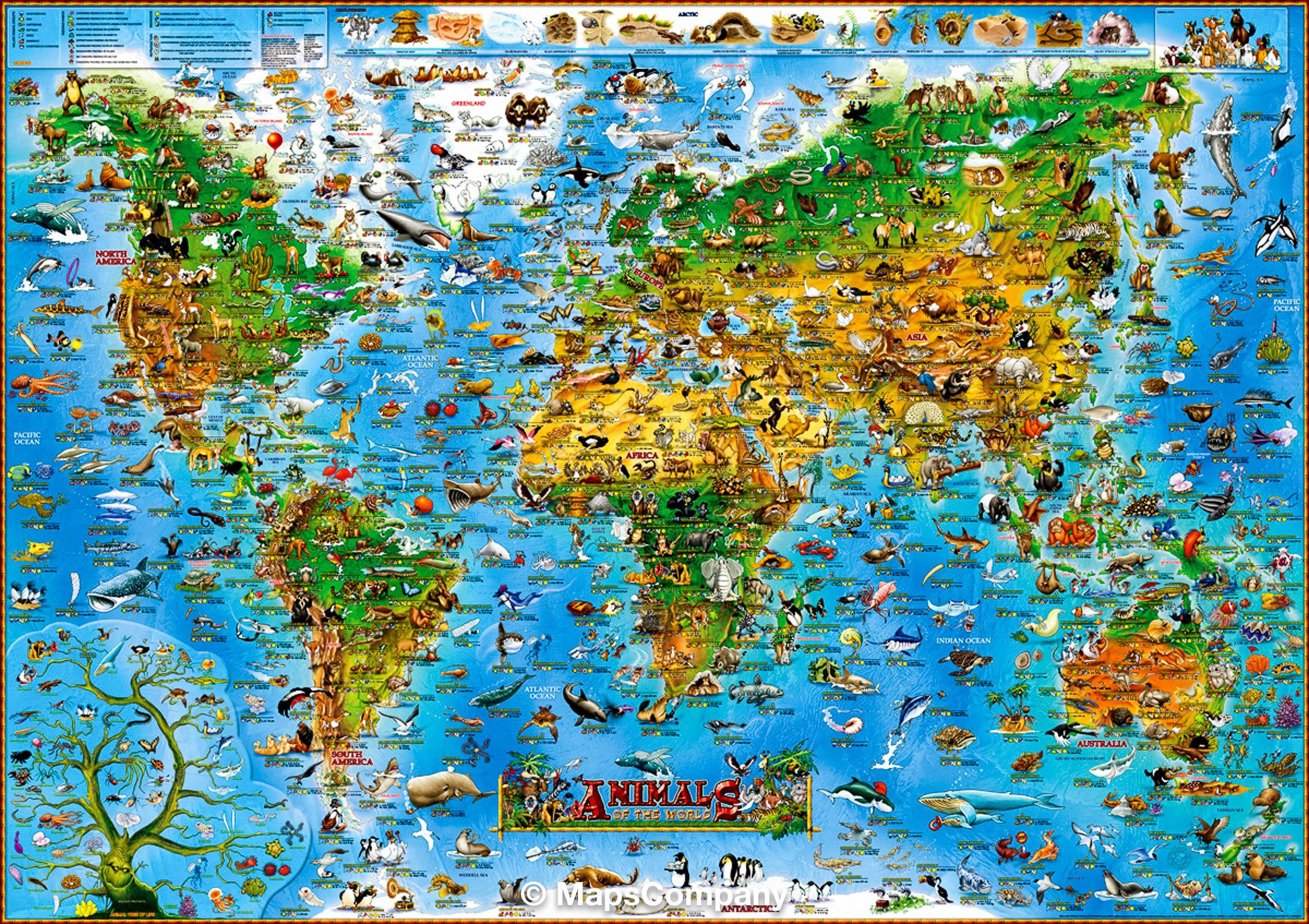 Dino's Maps Carte murale pour enfants - Les animaux du monde (plastifiée, en anglais) - 137 x 100 cm   Dino