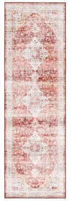 SAFAVIEH Santa Monica Alessya Traditional Rug