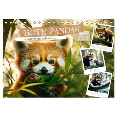 Rote Pandas - Himalayas sanfte Bewohner (Tischkalender 2027 DIN A5 quer), CALVENDO Monatskalender