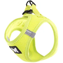 Martin Sellier Hunde-Geschirr aus Mesh (Hund, Spazieren), Halsband + Leine