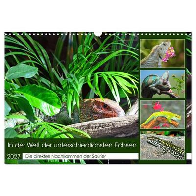 In der Welt der unterschiedlichsten Echsen (Wandkalender 2027 DIN A3 quer), CALVENDO Monatskalender