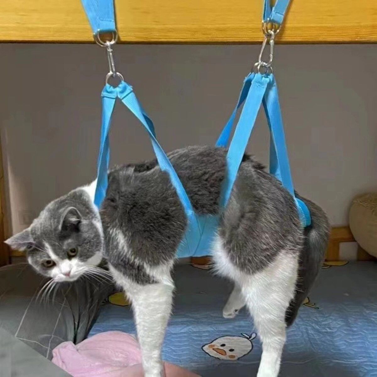 INF Hamac de toilettage pour animaux – Tissu composite imperméable, design anti-évasion pour coupe d'ongles, tonte et examens Bleu XL