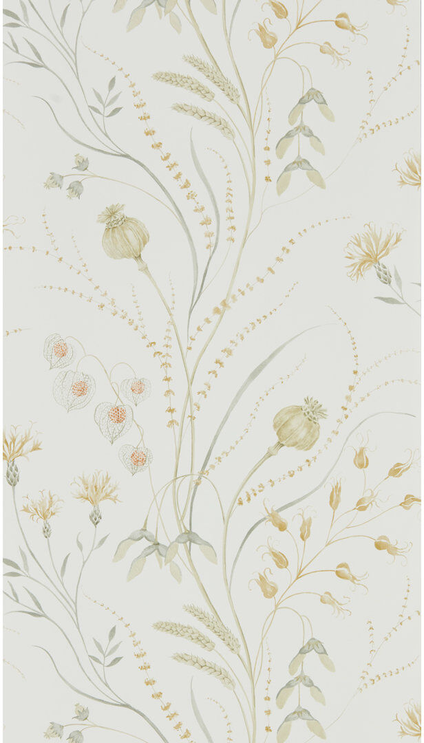 Sanderson Summer Harvest 10.05m x 52cm Matte Wallpaper Roll Yellow