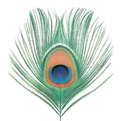 Apple Venus (Vol.1) (200 Gramm Vinyl) - XTC, Vinyl