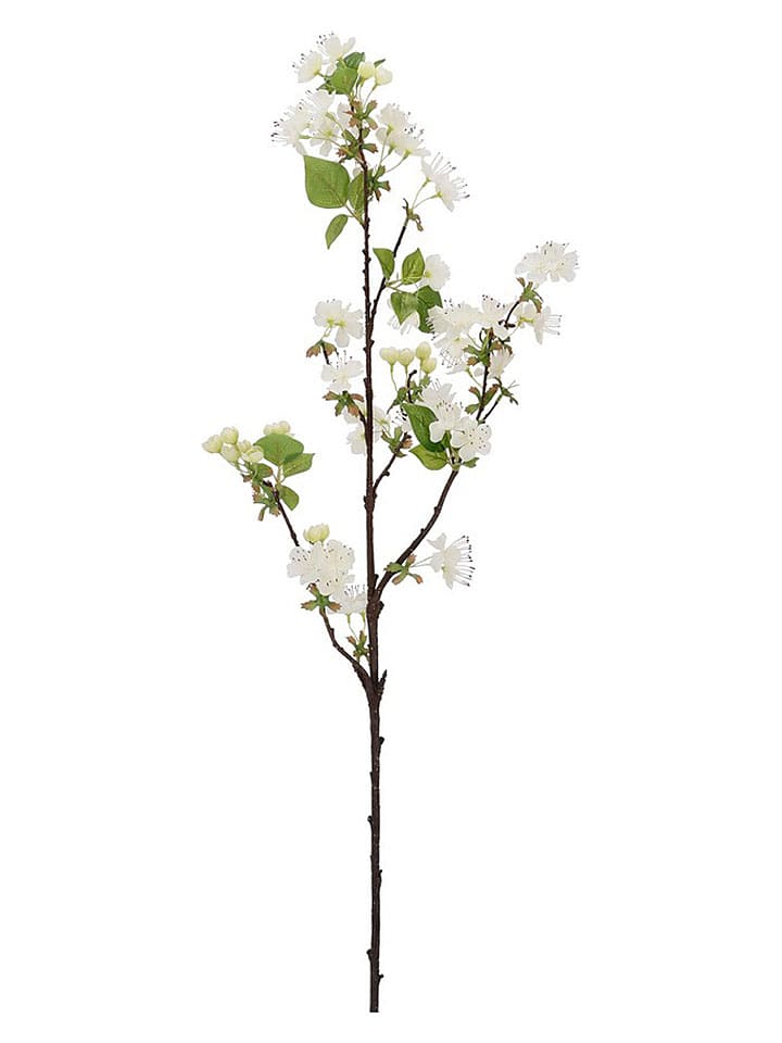 Bizzotto Kunstzweig ''Pear Cyndi'' in Weiß/ Grün - (L)94 x (B)20 cm - onesize