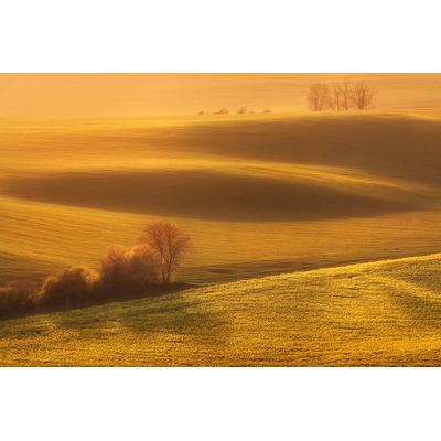 Fototapete PAPERMOON "Landschaft", bunt, B:3m L:2,23m, Vlies, Tapeten