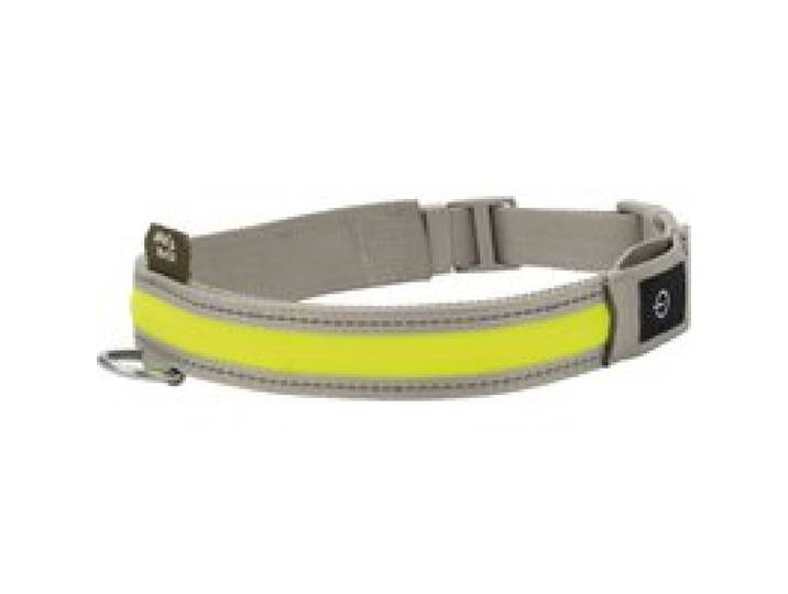 MAX & MILA'S WORLD Collier à LED pour chien (L)