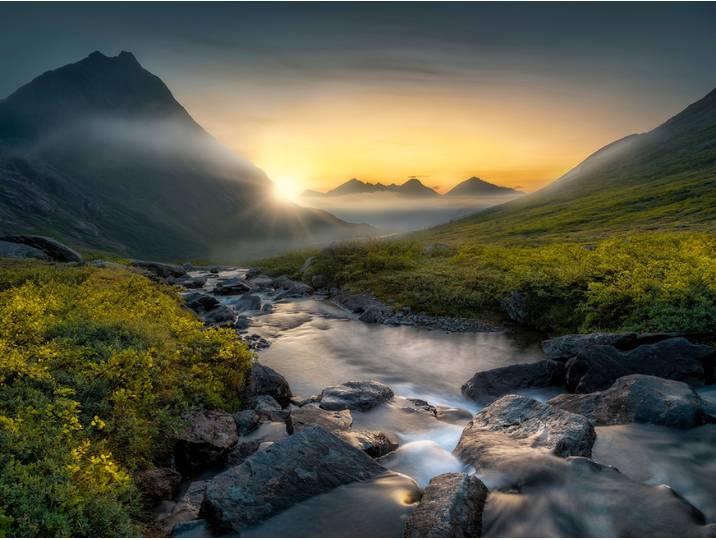 Fototapete PAPERMOON Photo-Art OLE HENRIK SKJELSTAD, TRÄUMEND , bunt, B:1,5m L:1,11m, Vlies, Tapeten, Fototapete