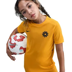 NIKE Erling Haaland Dri-FIT Academy 25 kurzarm Trainingsshirt Kinder 739 - university gold/university gold XL (158-170 cm)