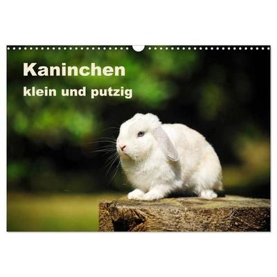 Kaninchen klein und putzig (Wandkalender 2027 DIN A3 quer), CALVENDO Monatskalender