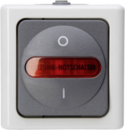 Kopp 562356009 1 Stück Feuchtraum-Schalterprogramm Komplett Heizungs-Notschalter BlueElectric Grau 1St.