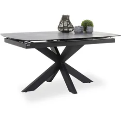 Esstisch PHÖNIX (LBH 160x100x76 cm) - LBH 160x100x76 cm