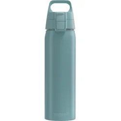 SIGG Trinkflasche WMB One 750ml - blau