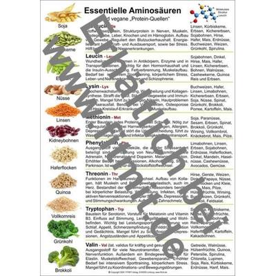 Aminosäuren und vegane Protein-Quellen, Zubehör von Tanja Aeckersberg, Aeckersberg, Ingrid, 978-3-940832-83-2