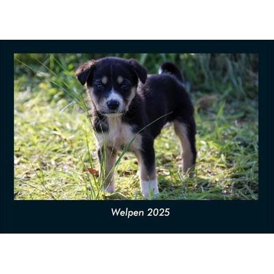 Welpen 2025 Fotokalender DIN A4