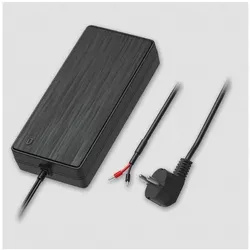 Teltonika EU 2-pin power supply, 250W, Universalladegerät
