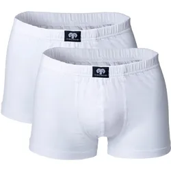 Short Pants 2er Pack Herren Boxershort Mehrfarbig