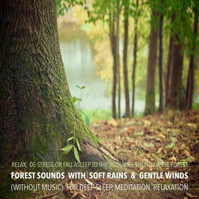Forest Sounds with Soft Rains & Gentle Winds (without music) for Deep Sleep, Meditation, Relaxation - Yella A. Deeken, Audio, 4057664536303
