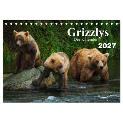 Grizzlys - Der Kalender (Tischkalender 2027 DIN A5 quer), CALVENDO Monatskalender