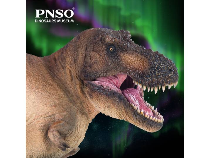 PNbucDinosaur Museums Series: lotion le vorannosaure REX 1:35, modèle d'art scientifique