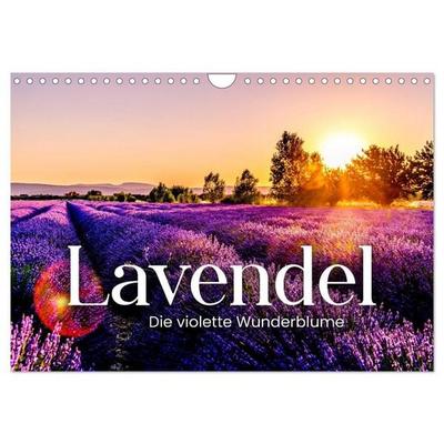 Lavendel - Die violette Wunderblume (Wandkalender 2027 DIN A4 quer), CALVENDO Monatskalender
